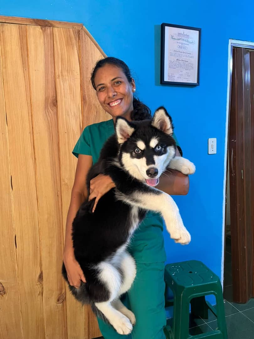 La veterinaria sosteniendo un cachorro en el consultorio