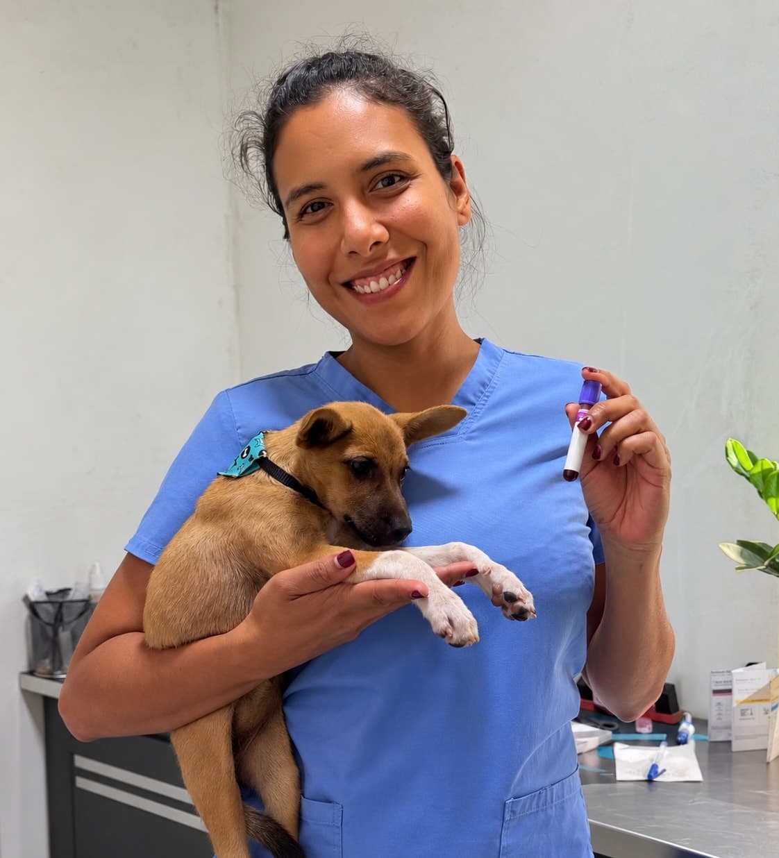 La veterinaria sonriente, con un cachorro en brazos y un tubo de muestra de sangre en la mano